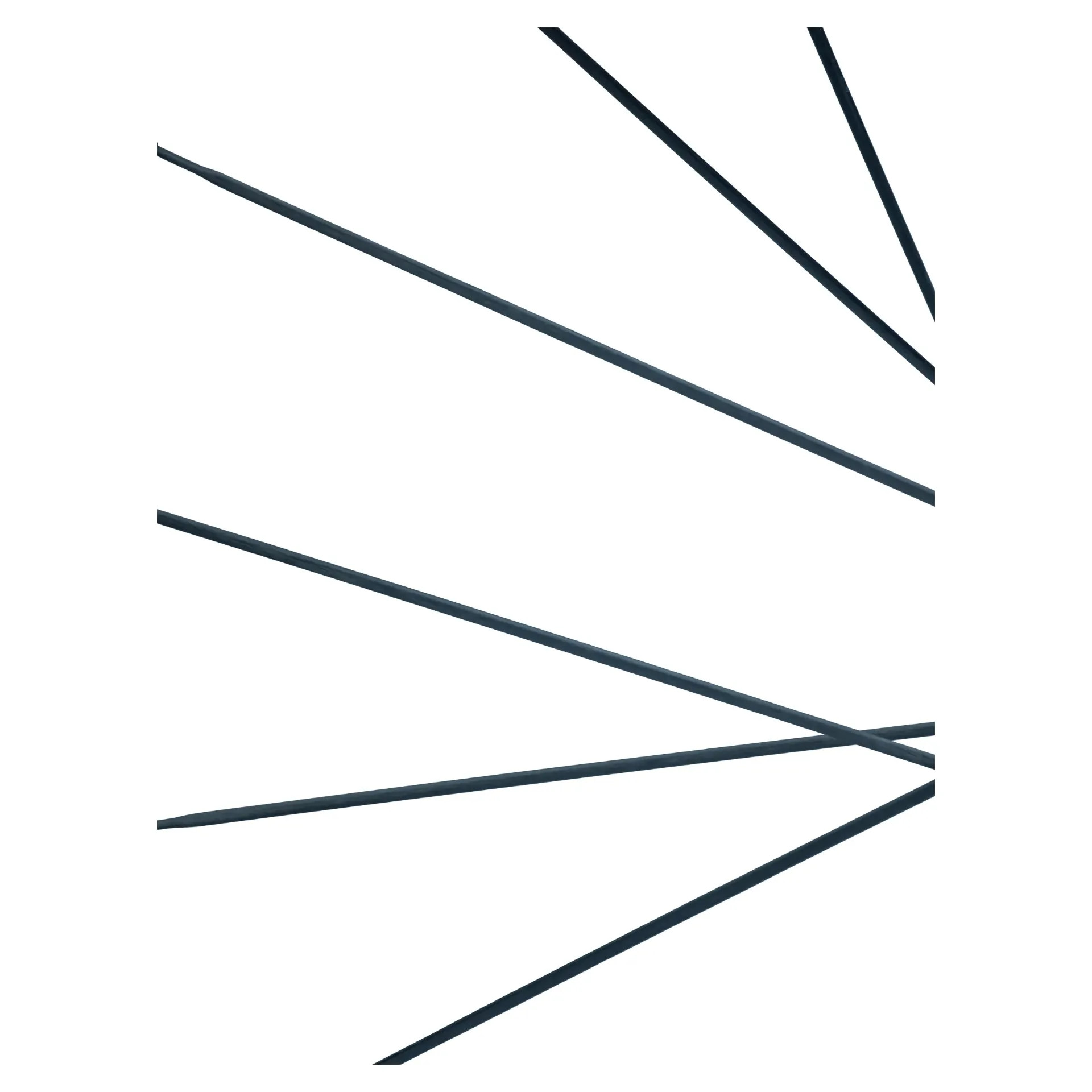 Celokarbonové špice (3,1 mm)